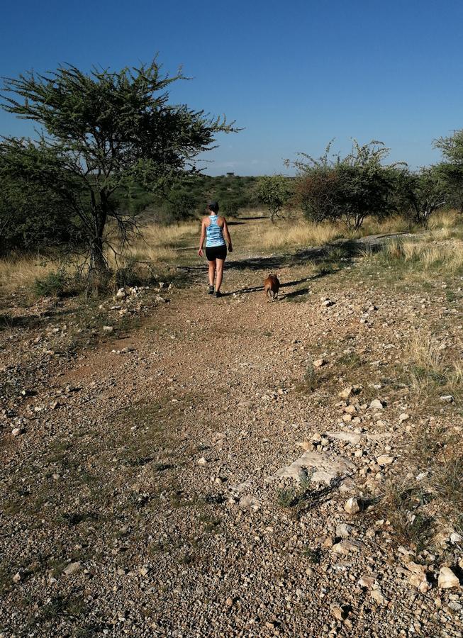 Etotongwe Lodge Outjo Zewnętrze zdjęcie